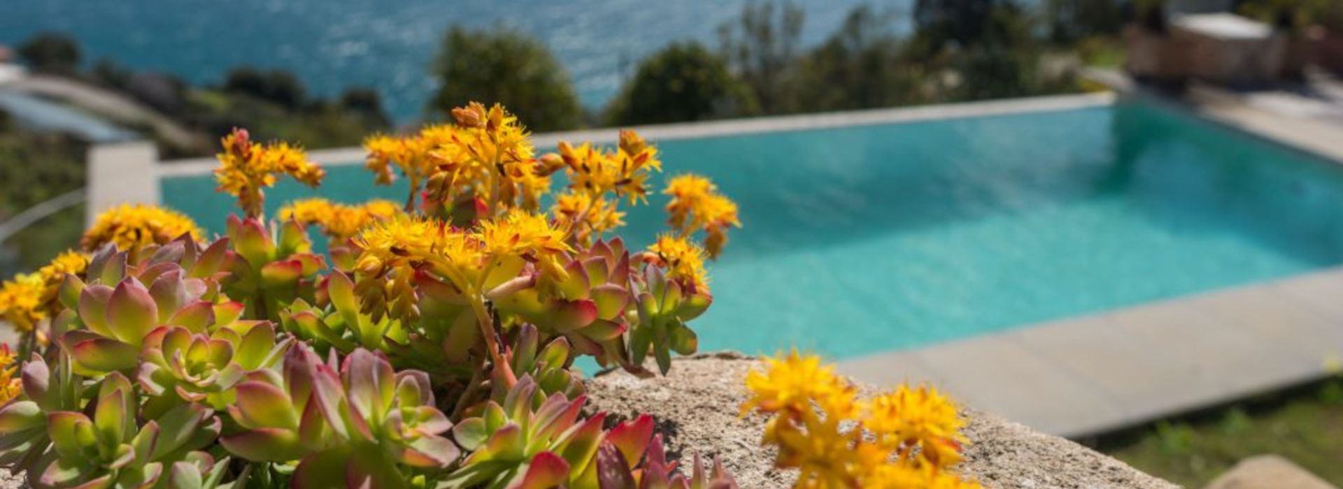 La tua piscina.it - Forum italiano sulle piscine