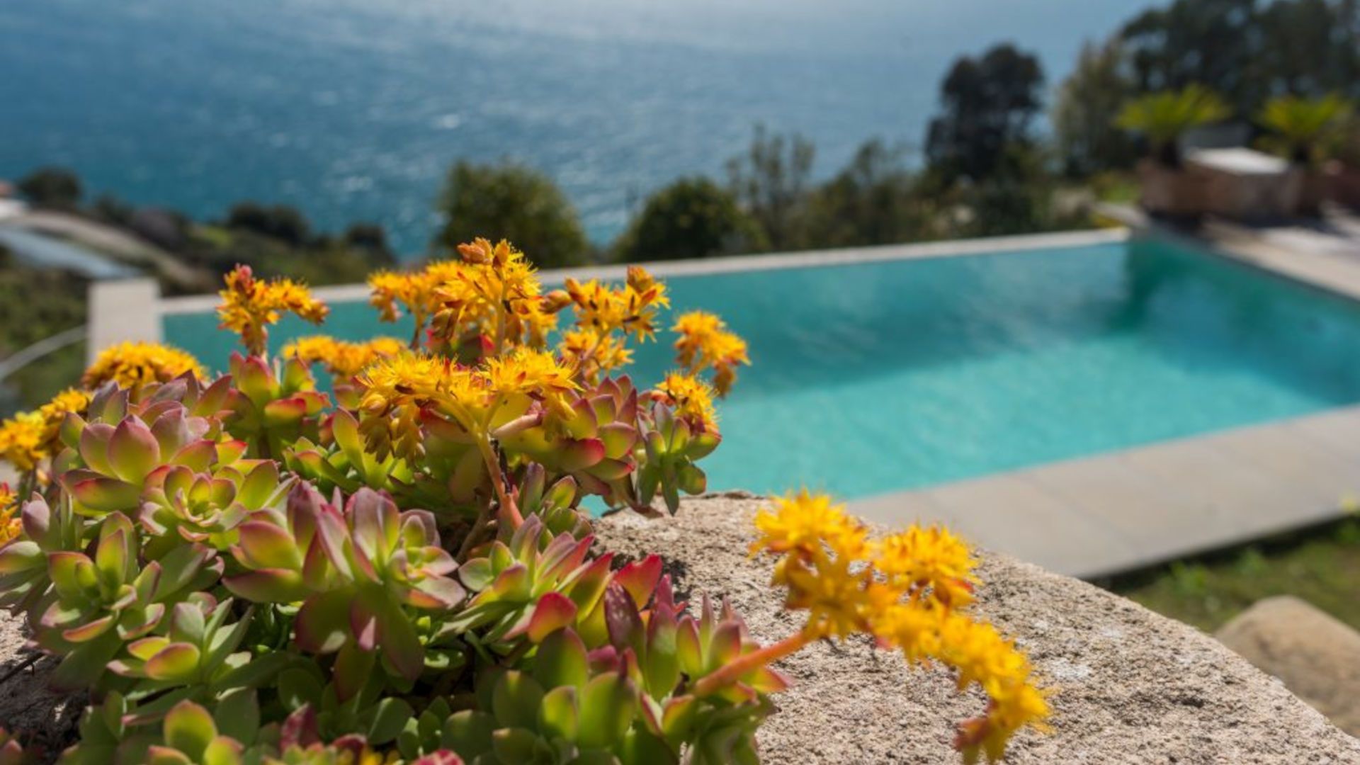 La tua piscina.it - Forum italiano sulle piscine